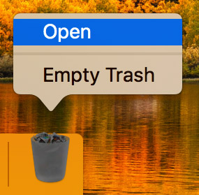 open trash bin on mac