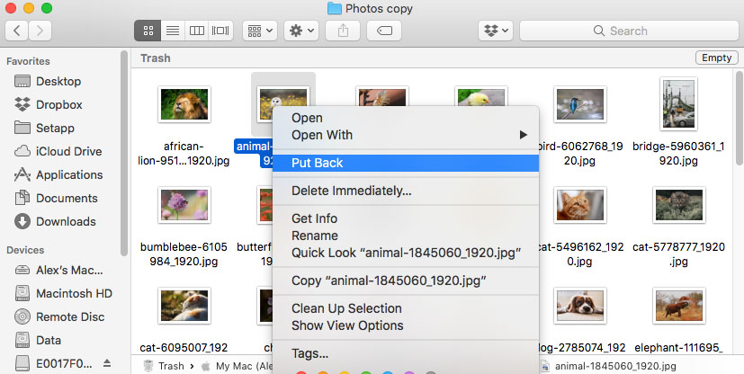 select Put Back to restore the file or folder from Trash on Mac