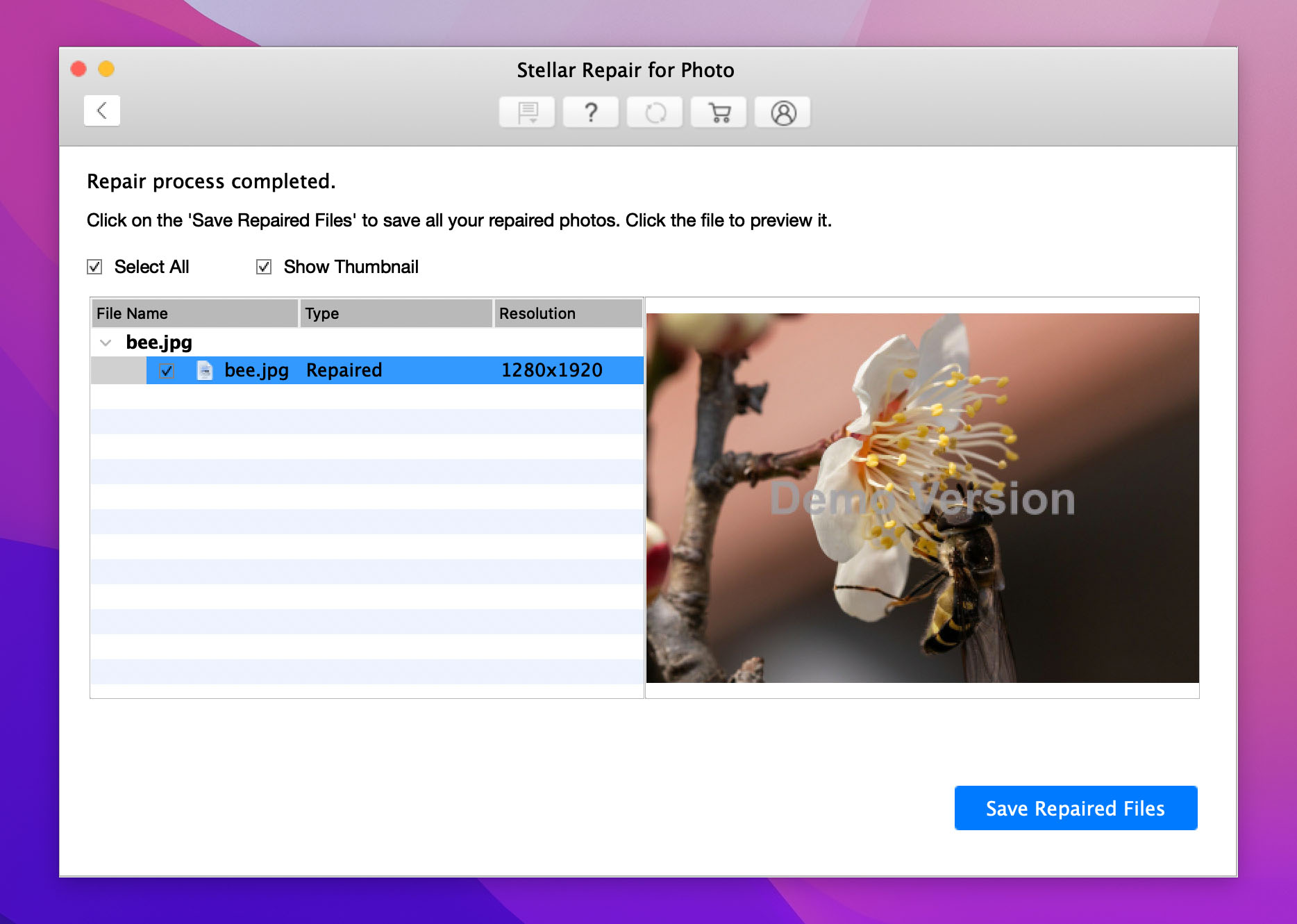 Stellar Photo Repair Software For Mac