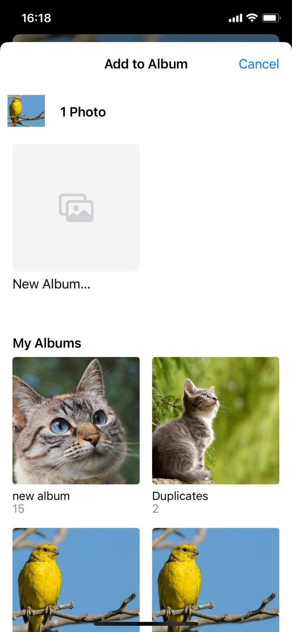 add photos to albums