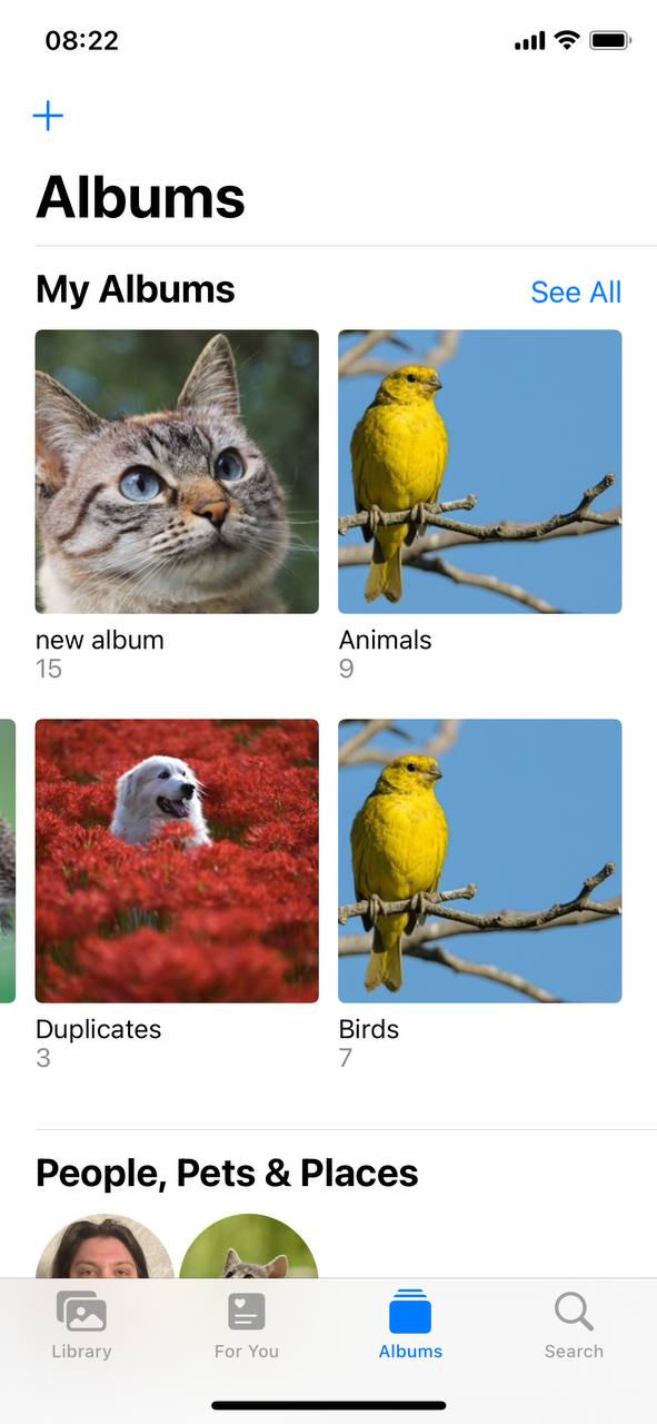 overview your photos