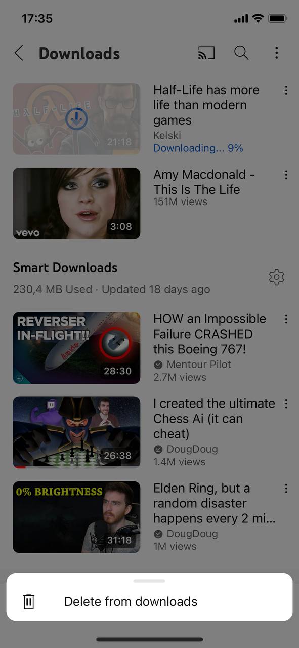 delete downloaded video from youtube
