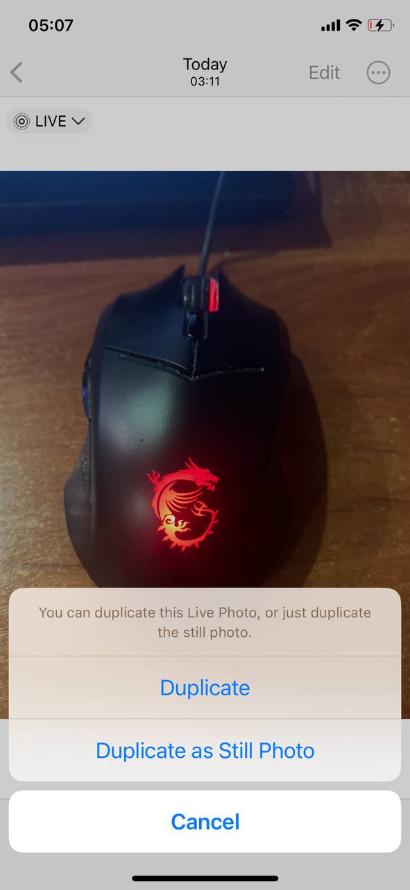 Duplicate as Still Photo