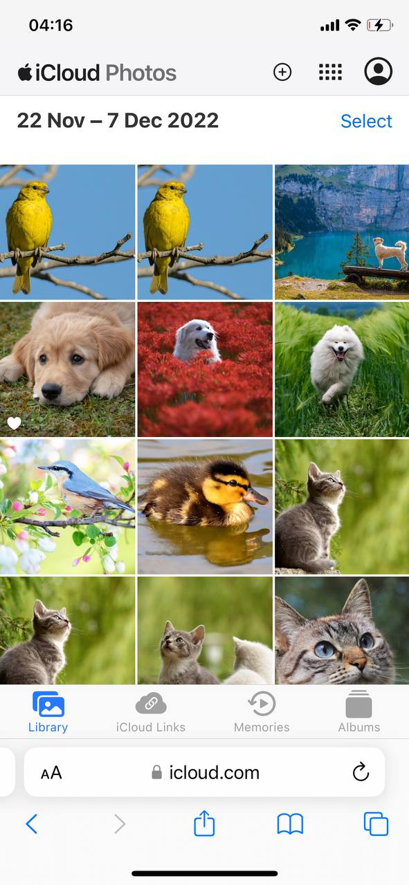 iCloud Photos