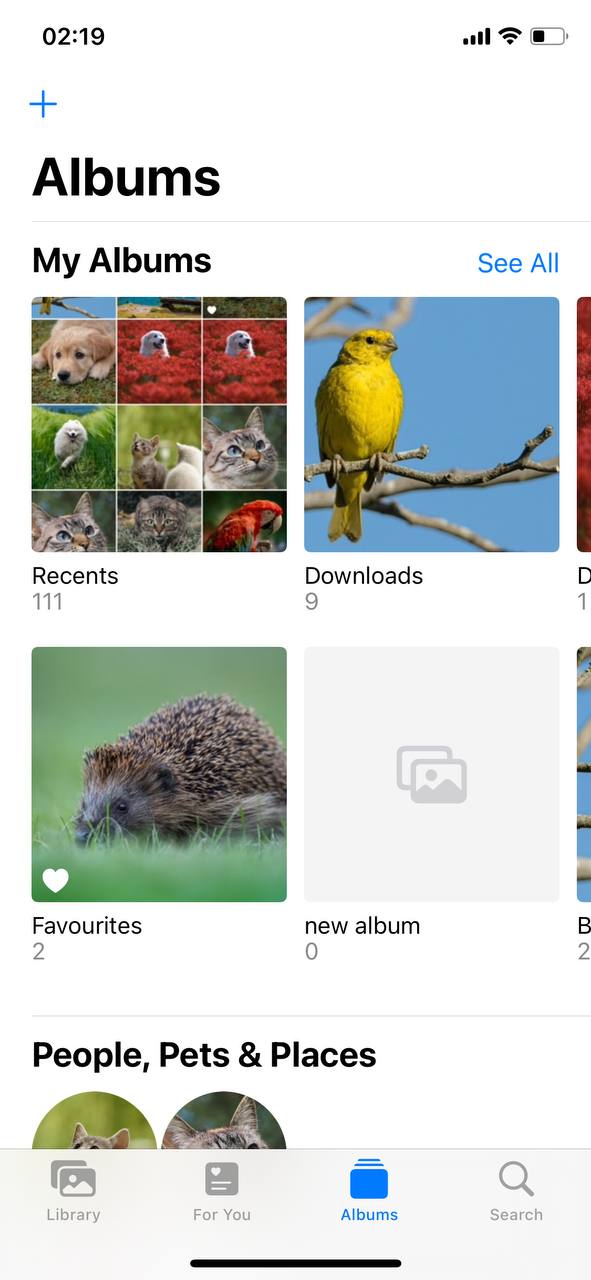 albums on iphone