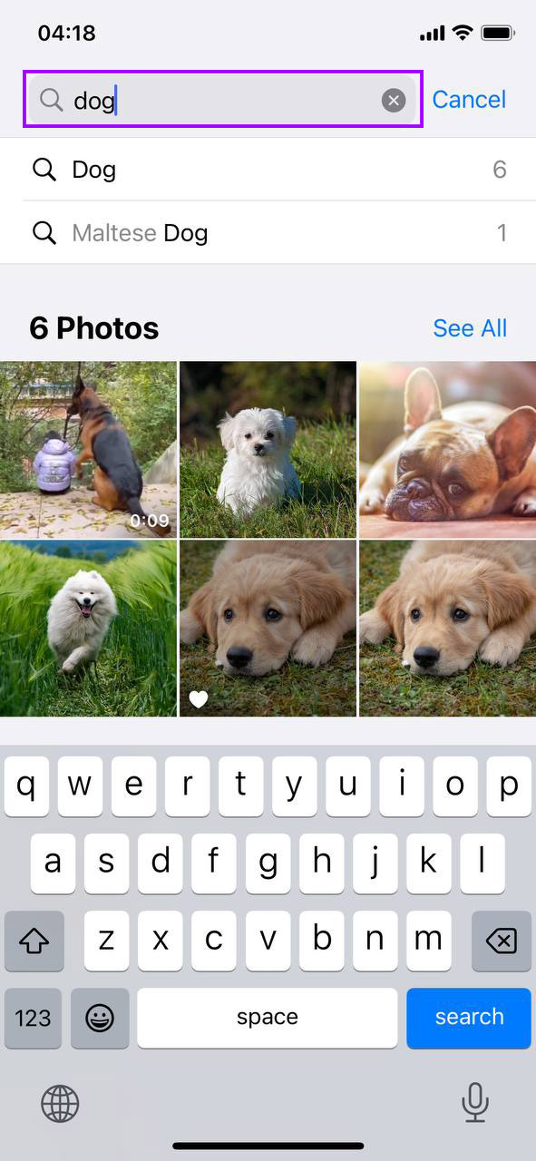 search similar images on iphone