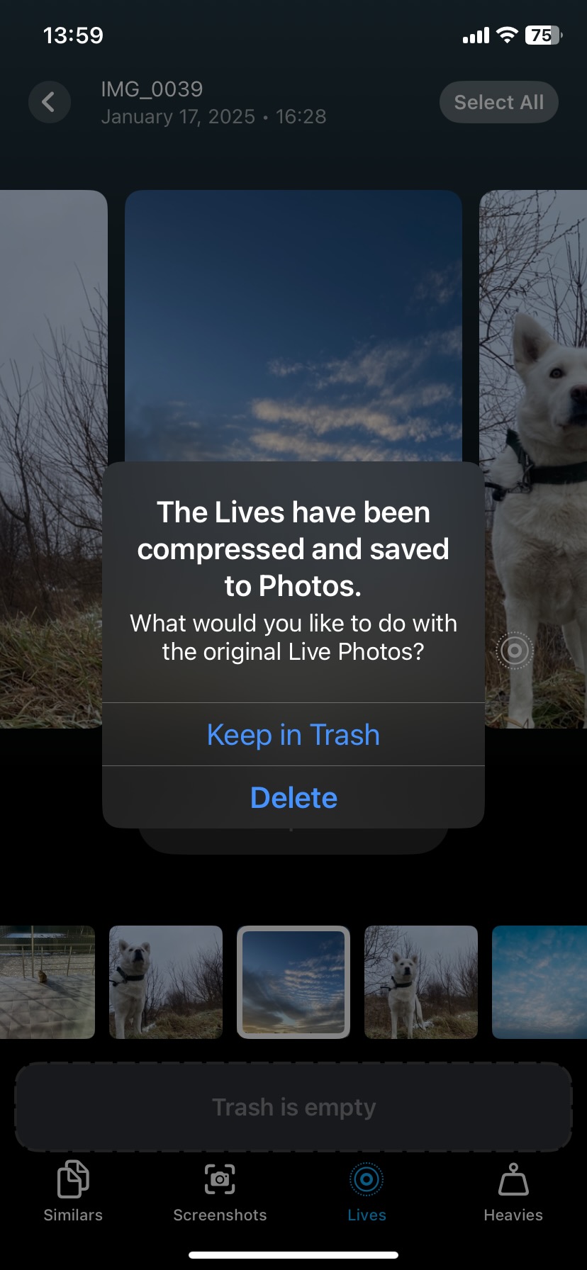 Delete the original Live Photos or keep them in the trash
