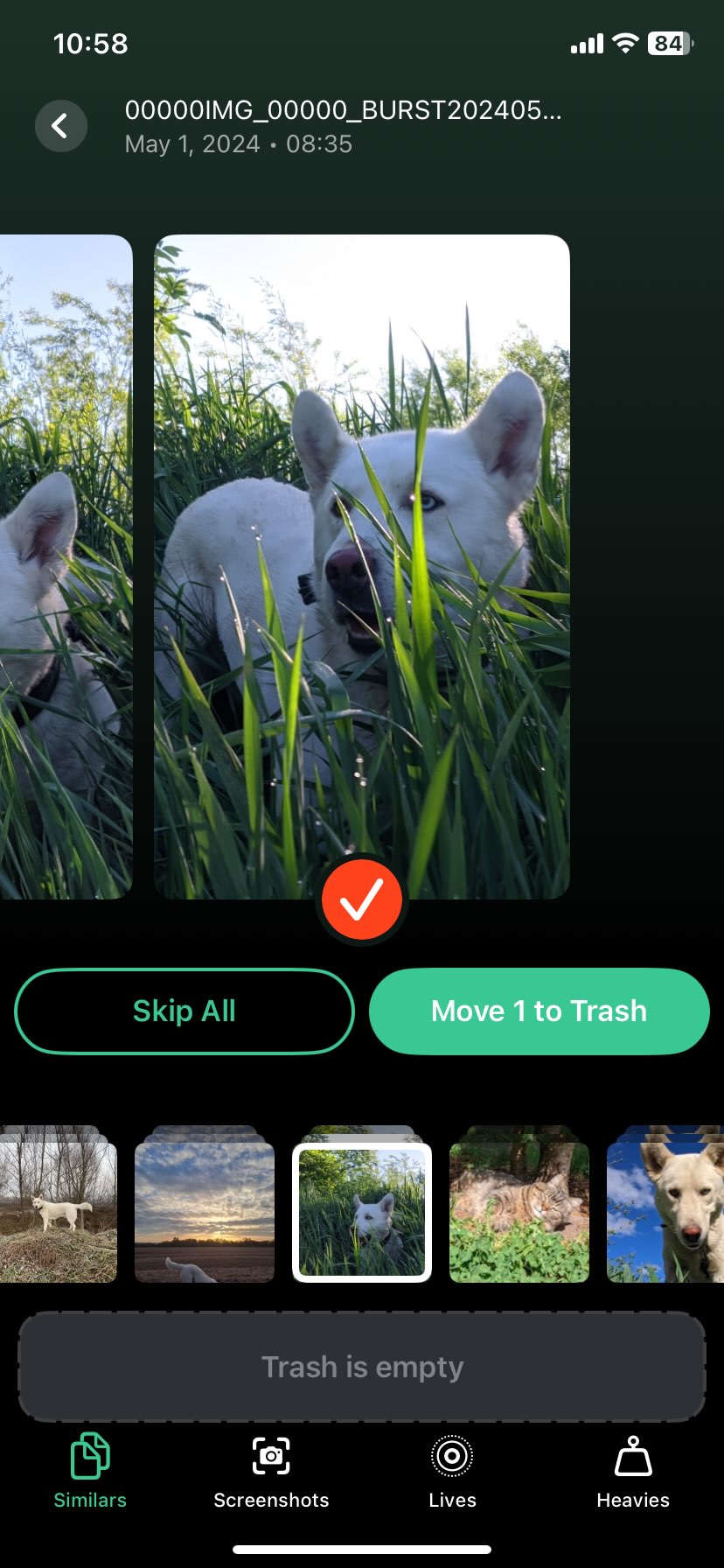 Tap Move to Trash
