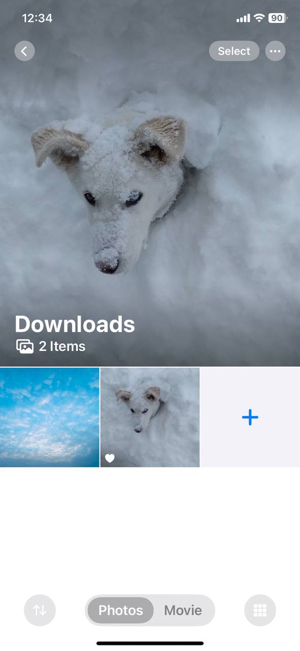 Move your photos to this album