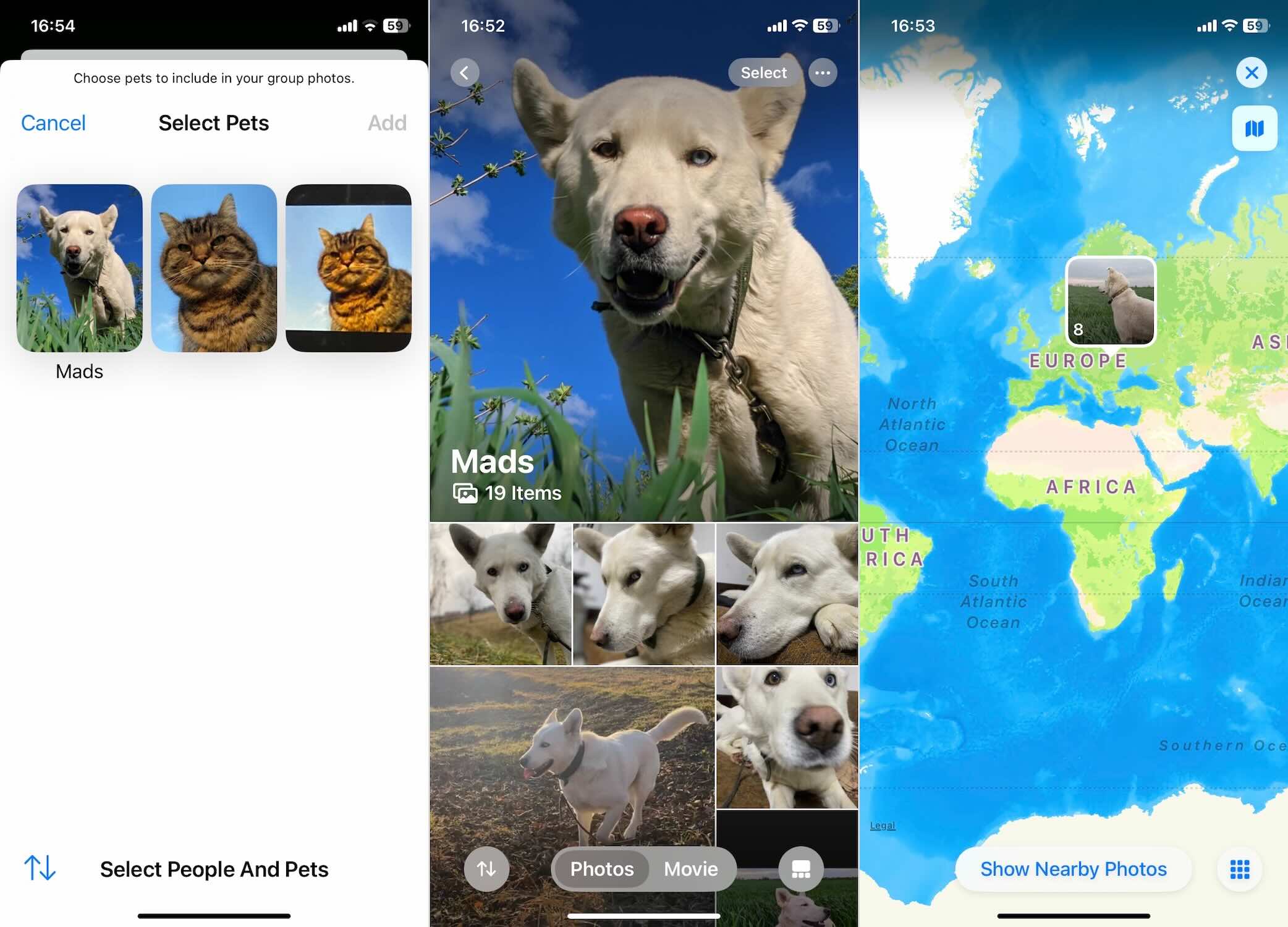 Pets and Places