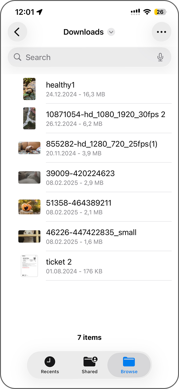 Files app showing size-sorted videos