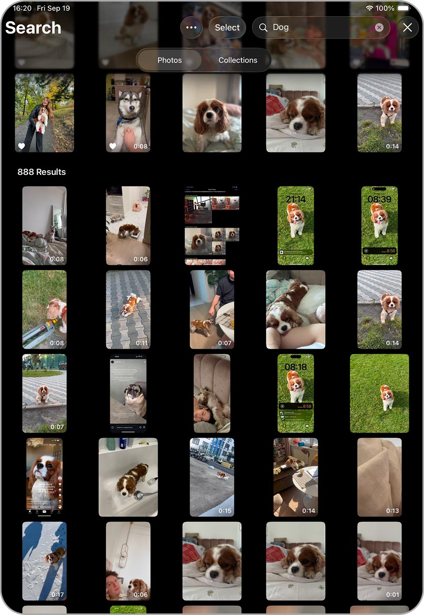 Résultats de recherche dans l'app Photos