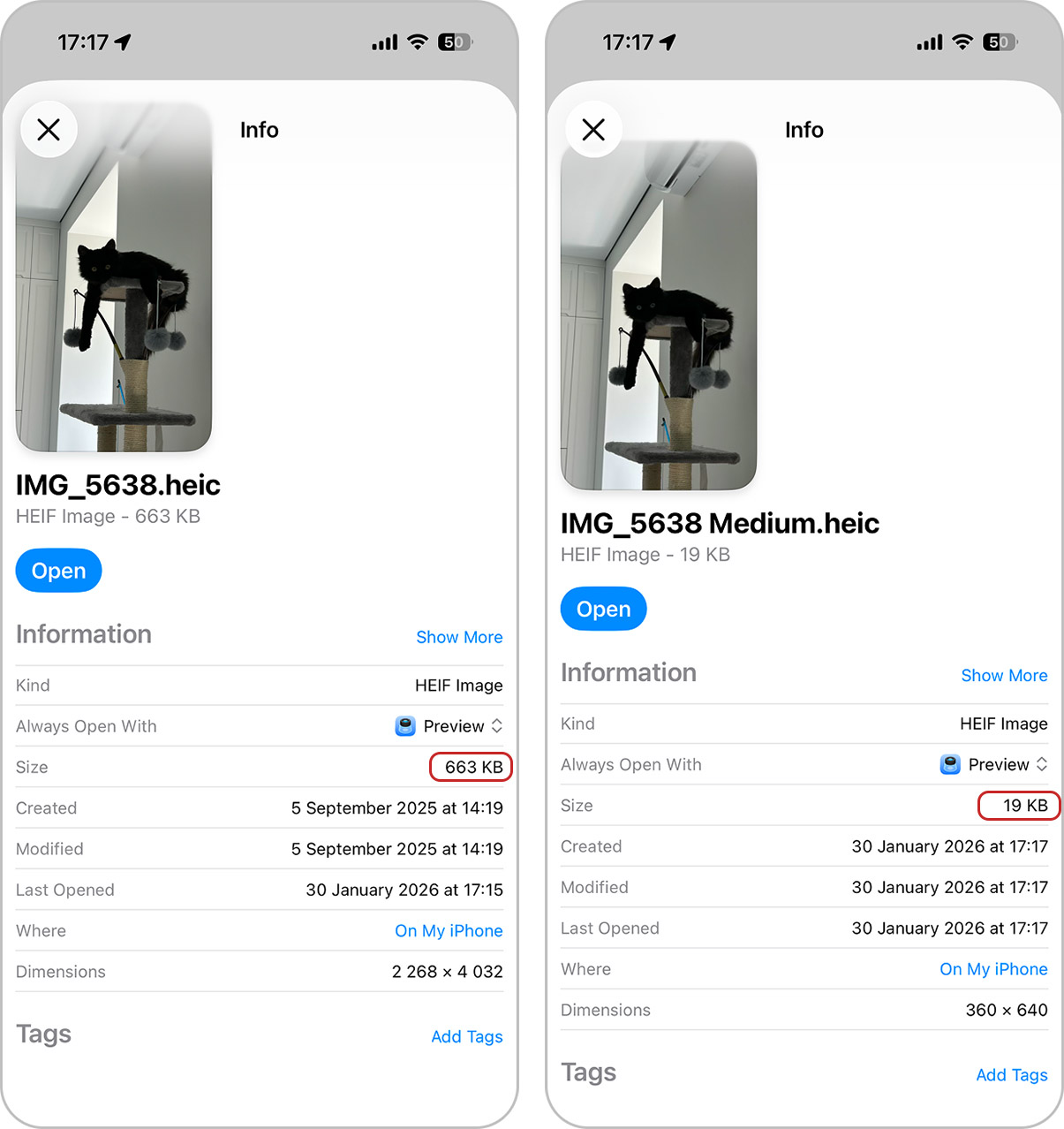 Compressed image created in the Files app folder
