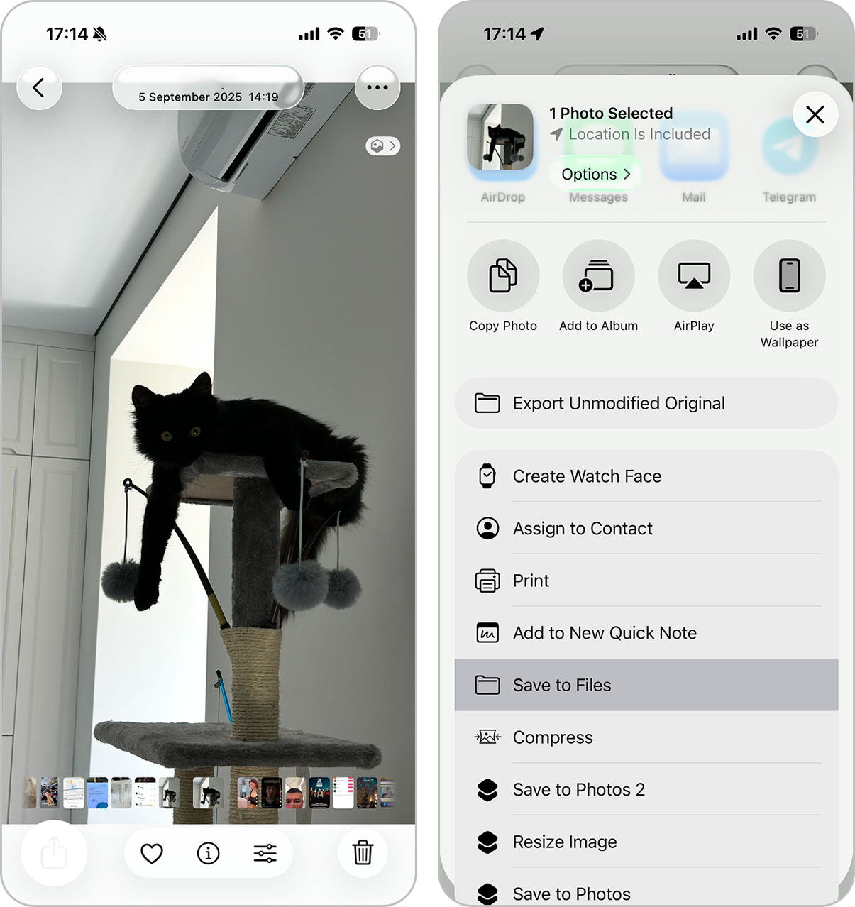 Saving a photo to the Files app from Photos