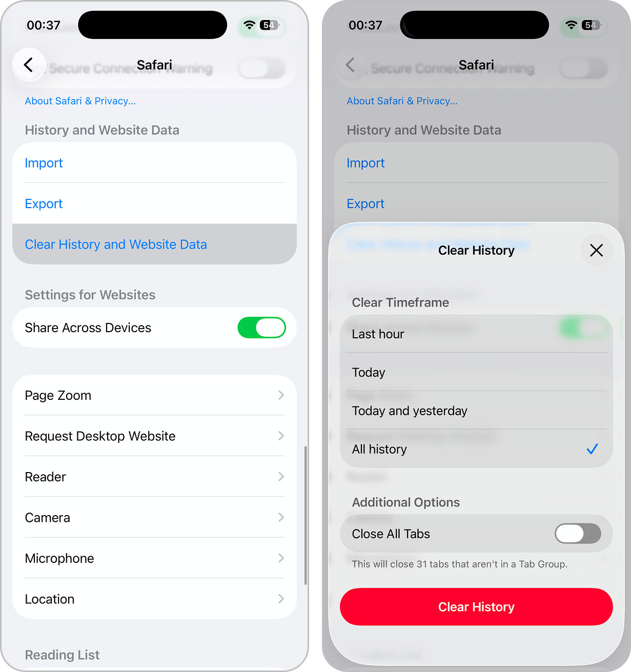 clear safari data