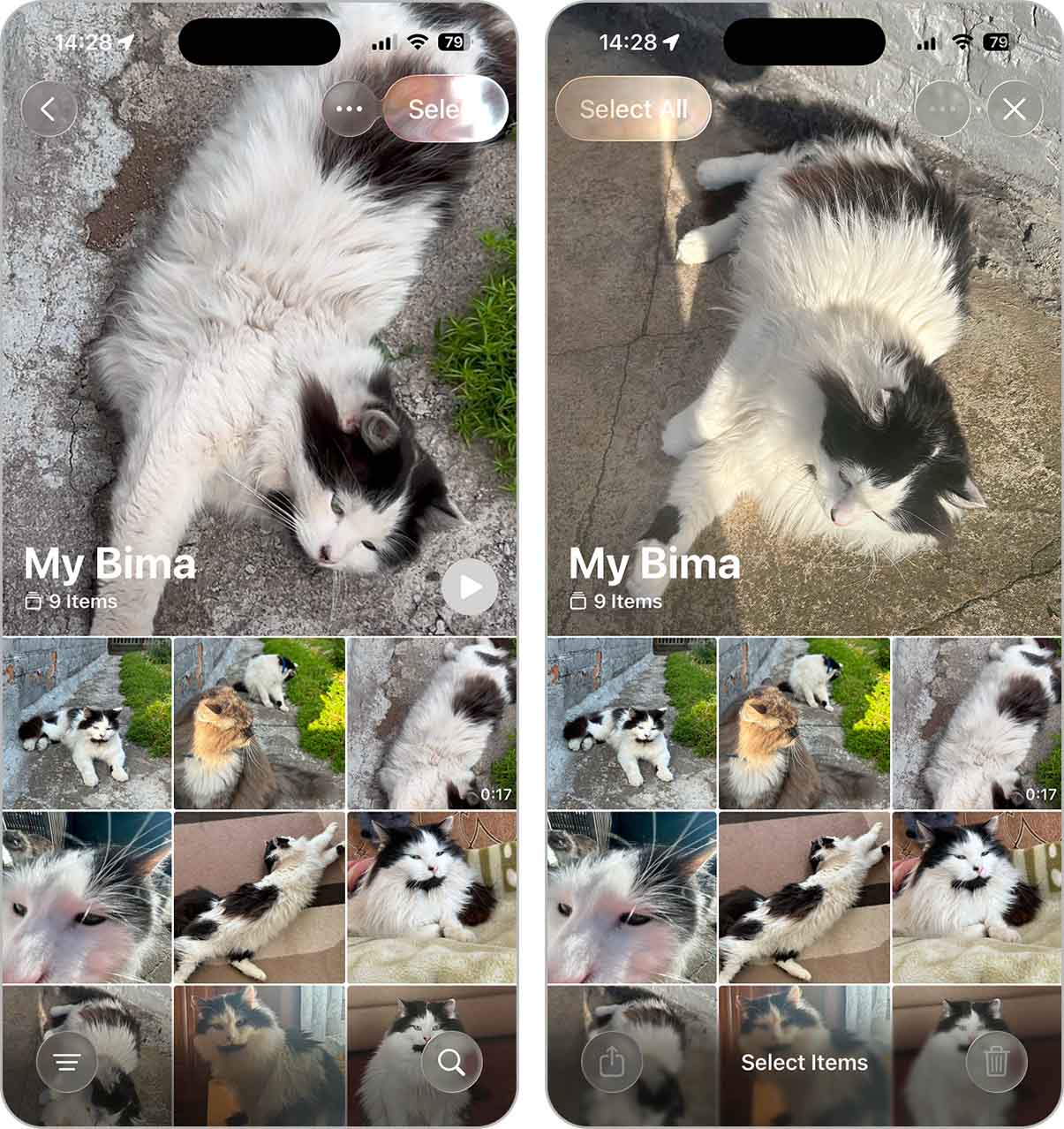 Using Select All to pick every photo in an album