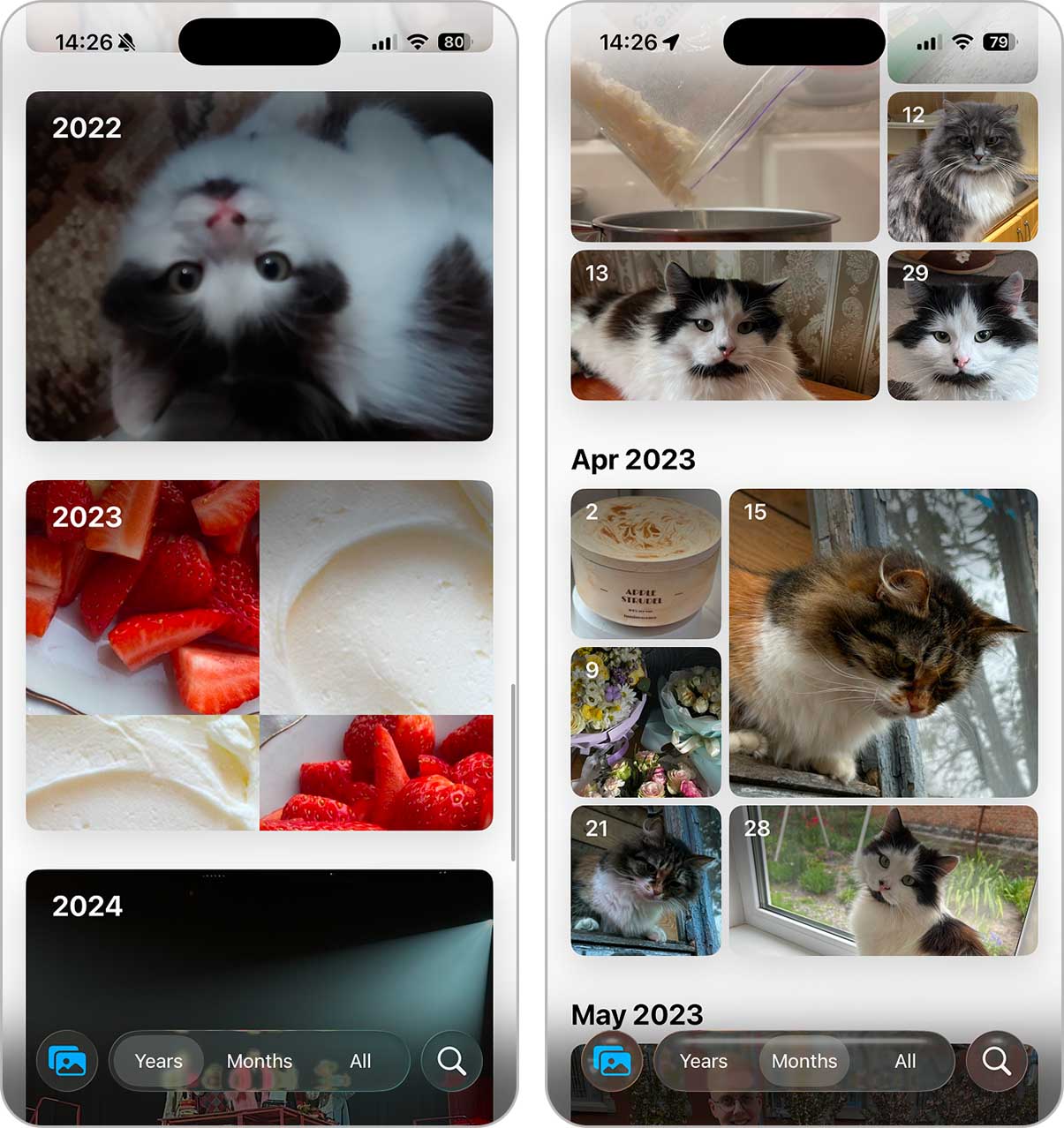 Switching the Photos Library view to Years or Months