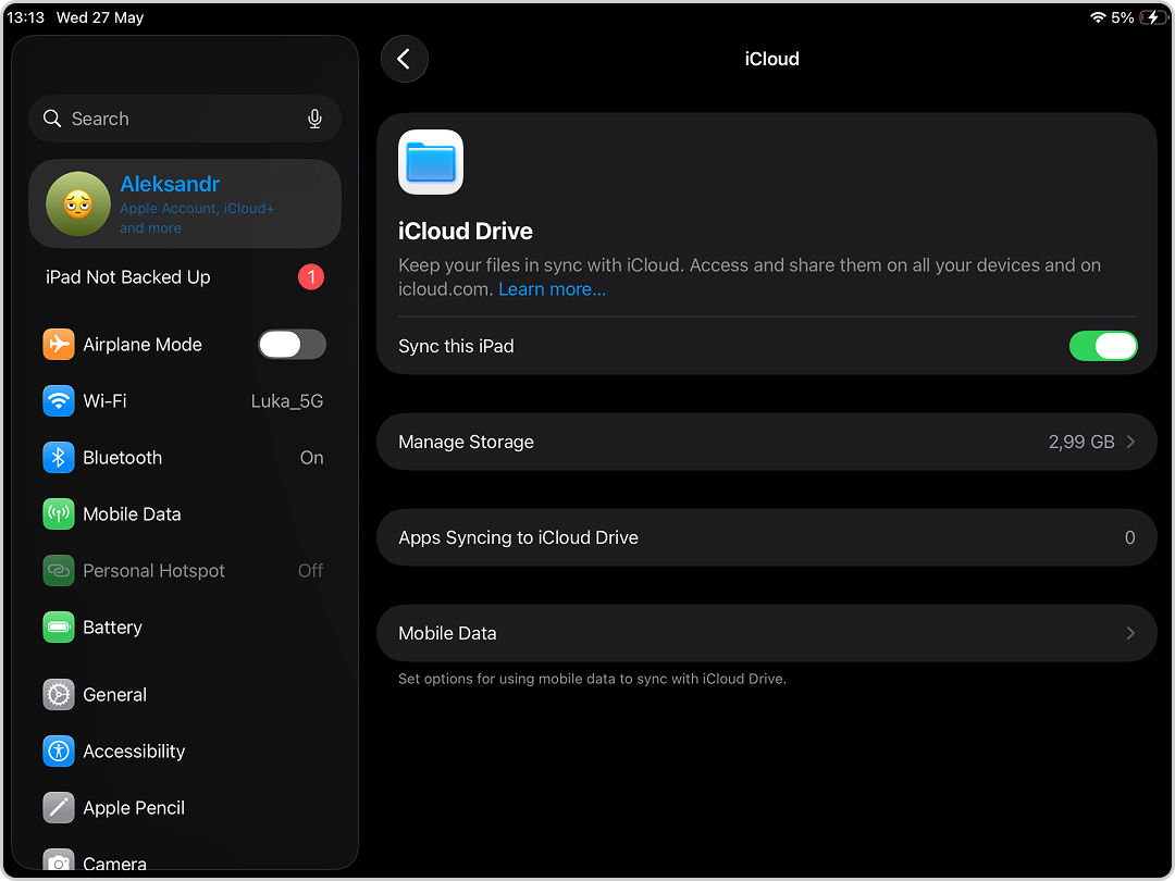 Enable Sync this iPad for Files app