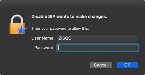 More information about "Catalina 10.15(15A983) Disable SIP"
