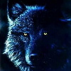 Skywise_ca