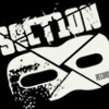 section8