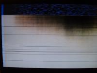 post-189481-1203518572_thumb.jpg