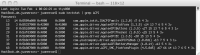 terminal.png