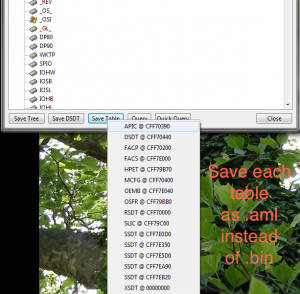Everest_ACPI_Dumper.png