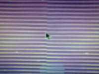 post-156518-1206829652_thumb.jpg