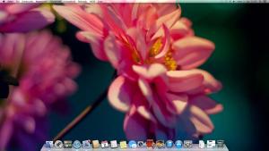 post-150972-0-83953300-1362254555_thumb.jpg