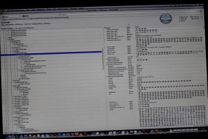 k-IMG_5586.JPG