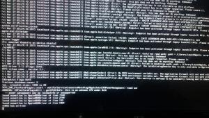 IMAG0447.jpg
