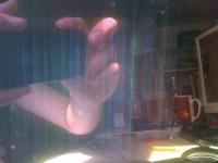 post-17426-1272017164_thumb.jpg