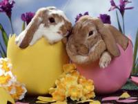 easter.jpg