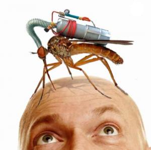 Giant-Mosquito-29551.jpg