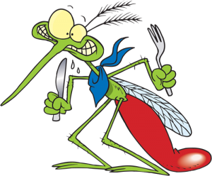 Mosquito.png