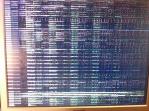uNfg2G857Y2DS2y05nieR7cbOM6w6gog69ufEB7qgFI.jpeg