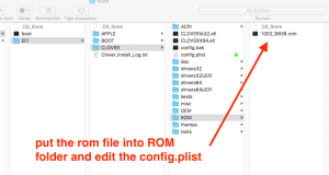 clover rom file.png