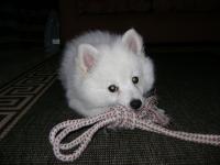 DSC02512.JPG