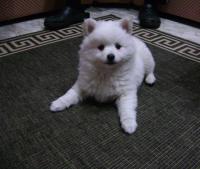 DSC02472.JPG
