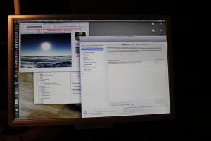 IMG_6113a.jpg