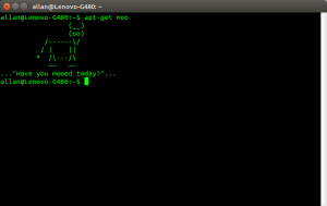 allan@Lenovo-G480: ~_002.png