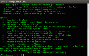 allan@Lenovo-G480: ~_001.png