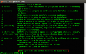allan@Lenovo-G480: ~_003.png
