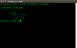 allan@Lenovo-G480: ~_010.png