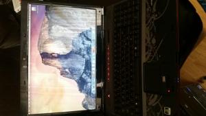 post-136768-0-00367100-1430733698_thumb.jpeg
