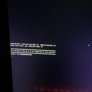 post-1708801-0-87468100-1463648063_thumb.jpeg