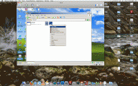 post-291852-1247525870_thumb.gif
