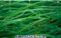 iMac_bacround.jpg