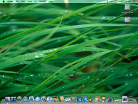 PB_backround.png